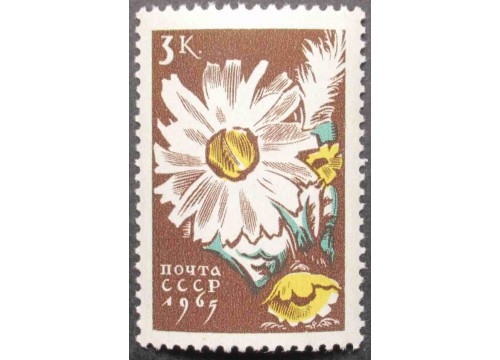 Марка 3193 Цветы. Ромашки. MNH ★★. 1965 год.
